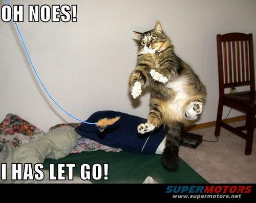 Cat mid-air, text overlay 'OH NOES!' and 'I HAS LET GO!'