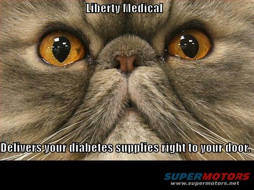 Close-up of a fluffy cat's face with text overlay about Liberty Medical delivering diabetes supplies