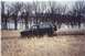 1986 Ford Bronco