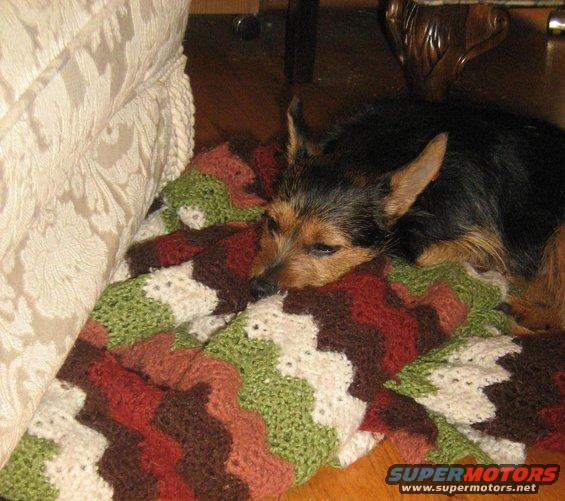 img_0011.jpg 9-13-08
sleepy Tobi
