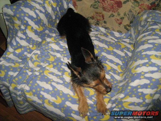 img_0012.jpg 9-15-08
mornin stretch