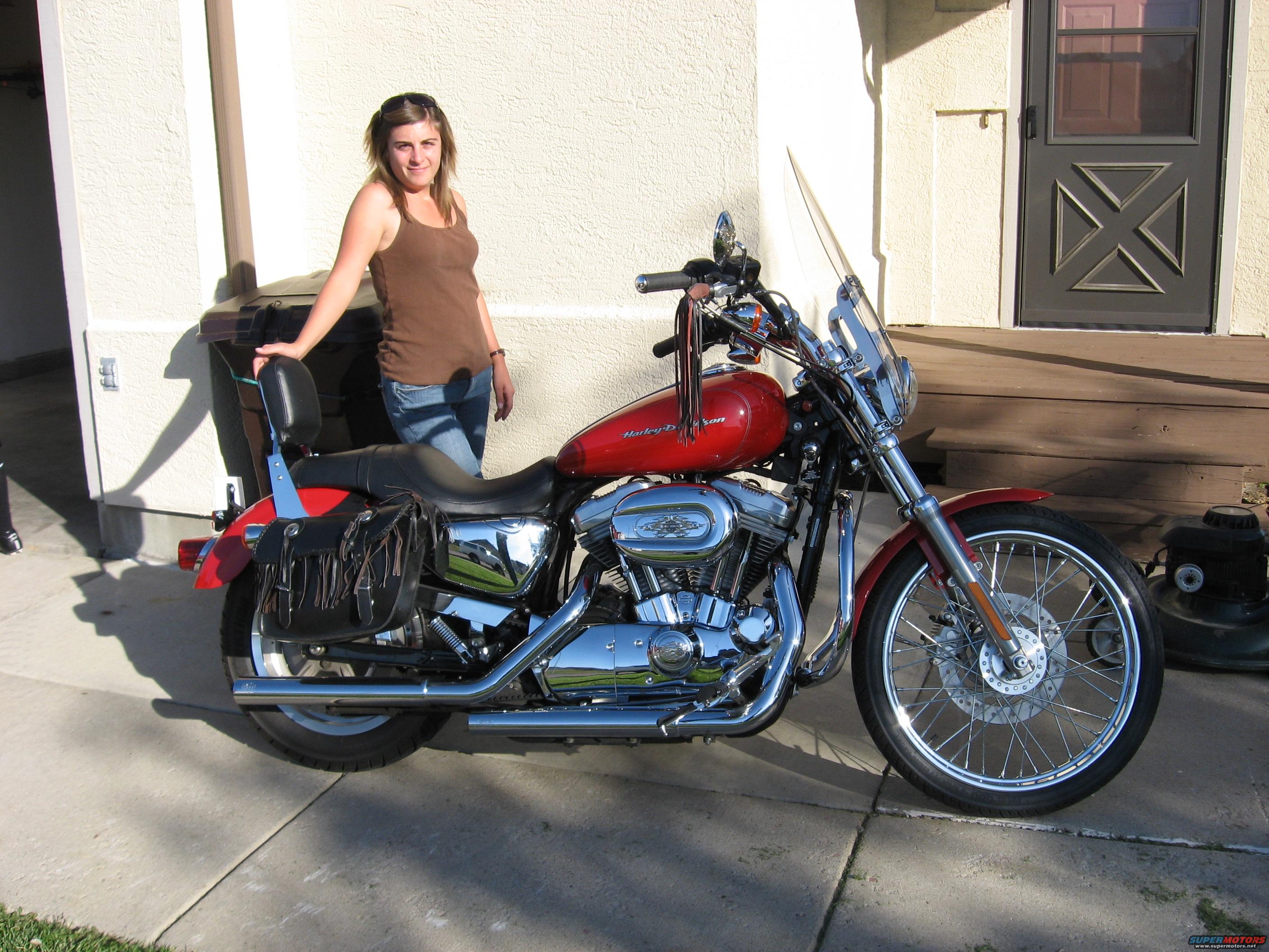 2004 Harley-Davidson Sportster Custom “Sporty”