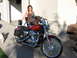 2004 Harley-Davidson Sportster Custom