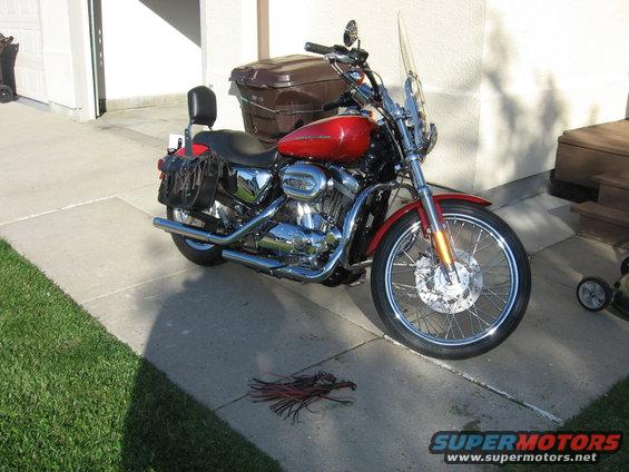 883-sporty-16-aug-2008-(4).jpg