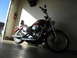 2004 Harley-Davidson Sportster Custom