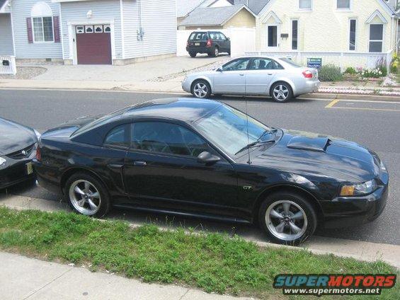 stang-shore.jpg