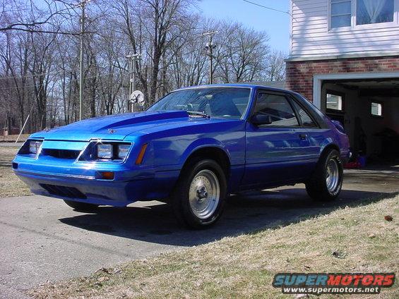mustang-004.jpg