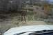 1990 Ford Bronco - Another shot behind Safeway; this spot can be troublesome when muddy.