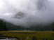 2006 Ford E350 - A misty mountain scene with a dense forest and a wide, grassy meadow.