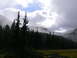 2006 Ford E350 - Misty mountains rise above a dense pine forest, with a cloudy sky overhead.