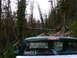2006 Ford E350 - A view from inside a green pickup truck shows the rear window with a 'Marty's Car Audio' sticker, set against a backdrop of a wooded, mount…