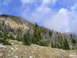 2006 Ford E350 - A mountain slope shows a mix of dead and living trees under a partly cloudy sky.