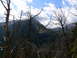 2006 Ford E350 - A mountain landscape viewed through dead trees under a partly cloudy sky.