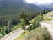 2006 Ford E350 - A scenic view of a mountain pass with dense evergreen forests and a rough dirt road.