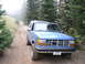 2006 Ford E350 - A blue pickup truck drives on a dirt road through a forest with fog in the distance.