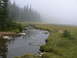 2006 Ford E350 - A stream flows through a grassy meadow on a foggy day, with pine trees in the background.