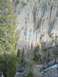 2006 Ford E350 - A scenic view of a river flowing through a rocky canyon, with pine trees in the foreground.