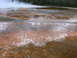 2006 Ford E350 - A wide view of a geothermal area with colorful mineral deposits and steam, indicating volcanic activity.