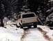 1990 Ford Bronco - Look in front of the Bronco for some of the trees uncovered from the ascent.
