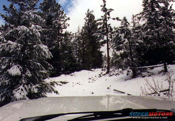 1990 Ford Bronco photo