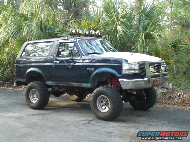 Lifted dark blue Ford Bronco with white hood and roof lights, parked on a paved surface with palm trees behind it