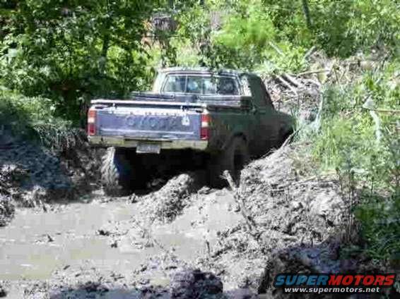 Pickup truck with a blue tailgate stuck in mud, seen from the rear