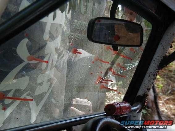 hm_blood.jpg Thats blood on the window from a roll over