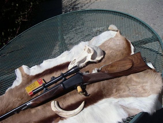 Rifle with scope, box of ammo, animal skull, and tusk on fur hide
