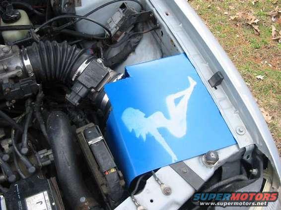 coldair3b.jpg The SHOgirl heat shield.