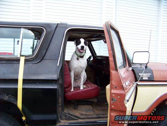 Flex is ready for a ride