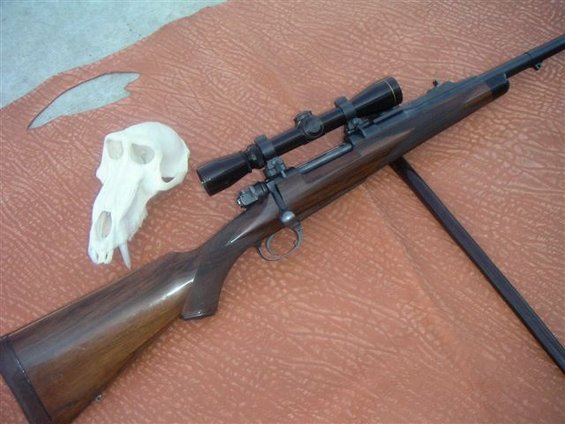 Rifle with scope and a skull on a textured surface
