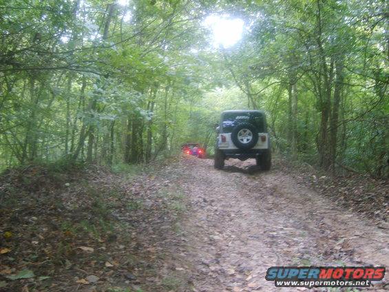 White Jeep Wrangler with spare tire on rear, driving on dirt road through forest
