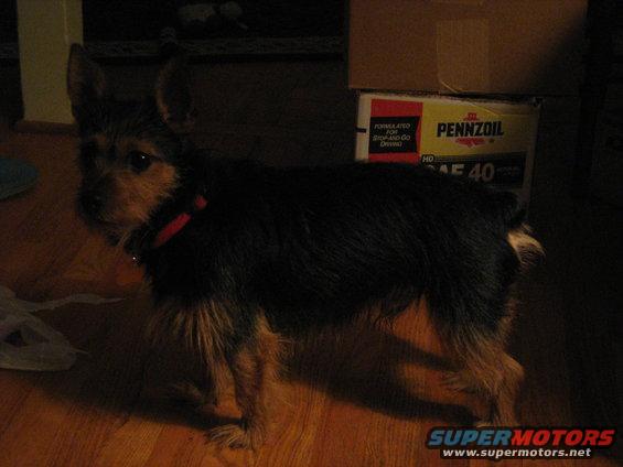 img_0028.jpg 9-25-08