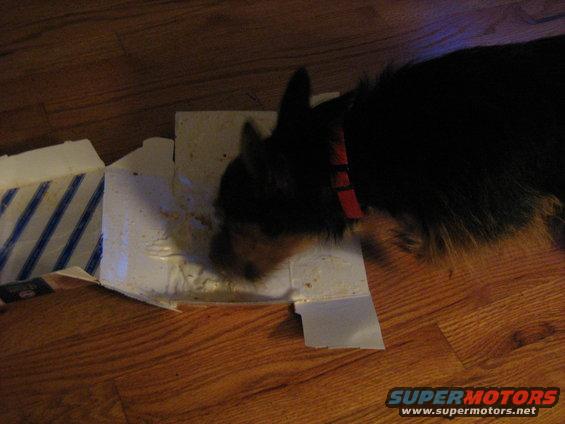 img_0029.jpg 9-25-08