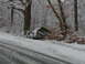 1988 Ford Bronco - A vehicle is partially off the road and stuck in the snow, surrounded by trees.