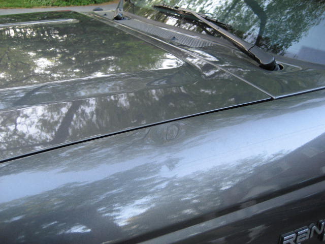Gray Ford Ranger hood with a dent, windshield wiper, and reflection of trees