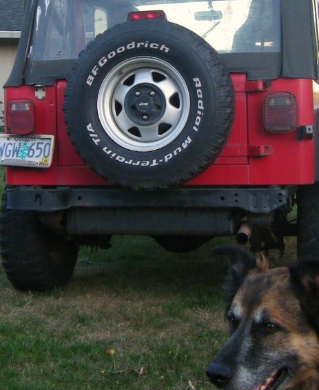 camera-pics-to-92908-825.jpg Back side, Yep my dog is like there is a seat in this one
for me... Dog "It's about time you still haven't let me in that new JK, screw that open the door your taking me and the YJ.. Damm animals... and there Jp knowledge.