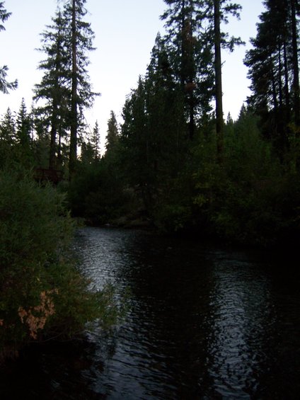 River flowing through a forest at dusk