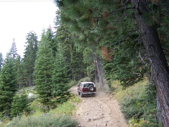 1991 Ford Bronco driving on a dusty, rocky dirt road through a pine forest
