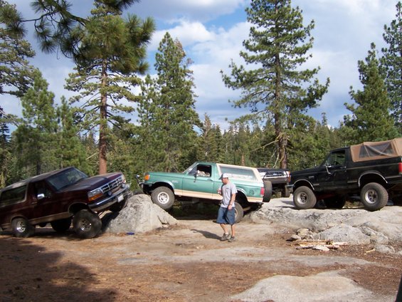 Three Ford Bronco SUVs navigating rocky terrain with pine trees in the background