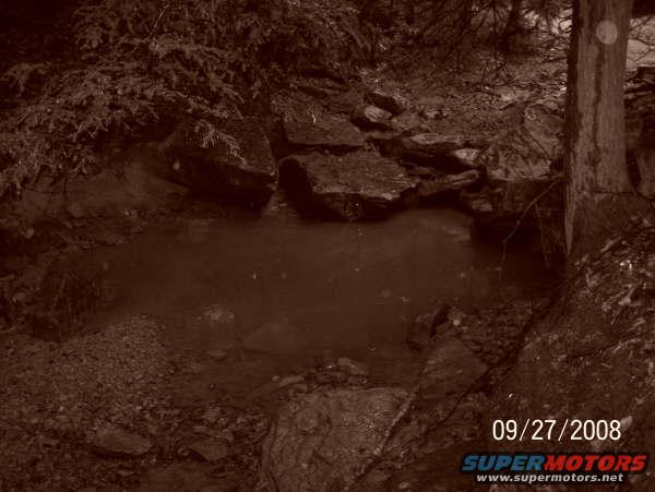 Muddy puddle surrounded by rocks and trees, with a date and website overlay