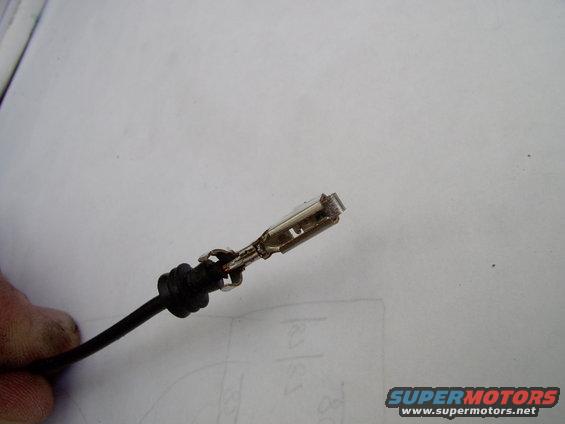 img_0034.jpg Pry open the tang. That will allow you to pull back the weatherpack style rubber grommet, out of the way and off for shortening and re use.
