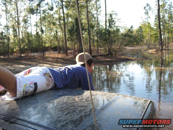 Person on car hood looking at flooded woods and trees. Water reflects the sky and trees