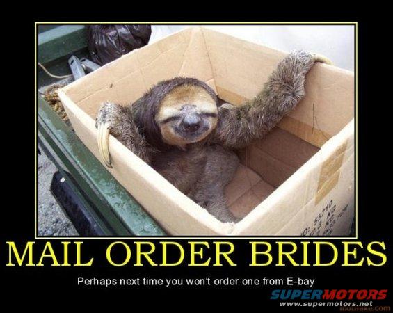 sloth in a cardboard box with text 'MAIL ORDER BRIDES'