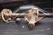 1996 Ford Bronco - A used rear axle assembly, likely from a truck or SUV, is shown in detail.