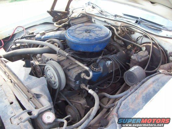 left-engine.jpg This is the mighty 351M engine.  Smog motor.  Lots of potential if you're patient (and rich) but all I want is a clean running engine, a little power, a lot of smoothness.  Timing and carburetion adjustments to come.