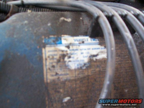 engine-label.jpg I didn't have an opportunity to clean this label up further at this time but I will recondition it later and take a clearer pic to post on here.  351/400M family, 351cid.  I have never seen a 351M in a Torino before, always Windsors, or a 400M.  New to me.