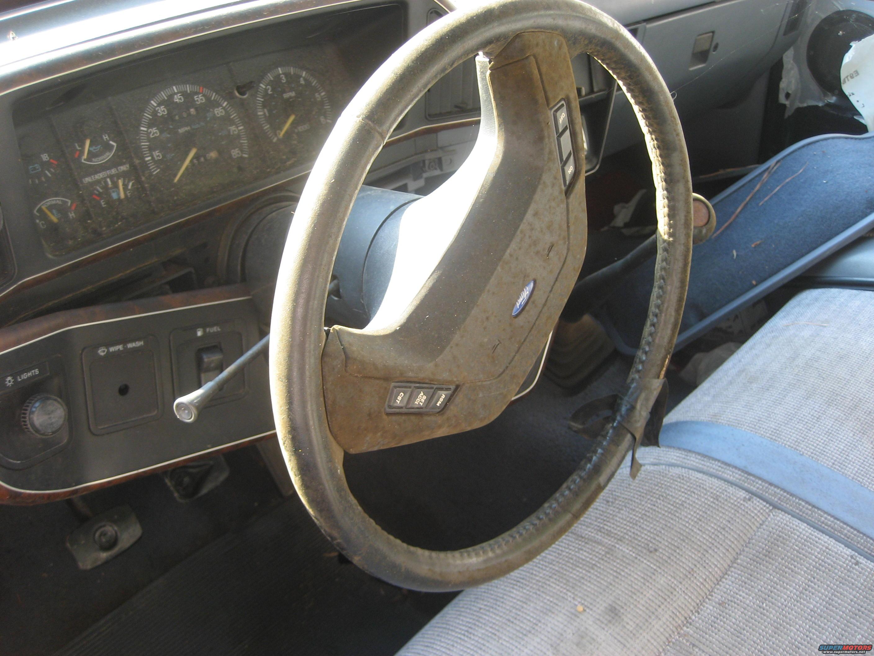 1981 Ford Bronco photo