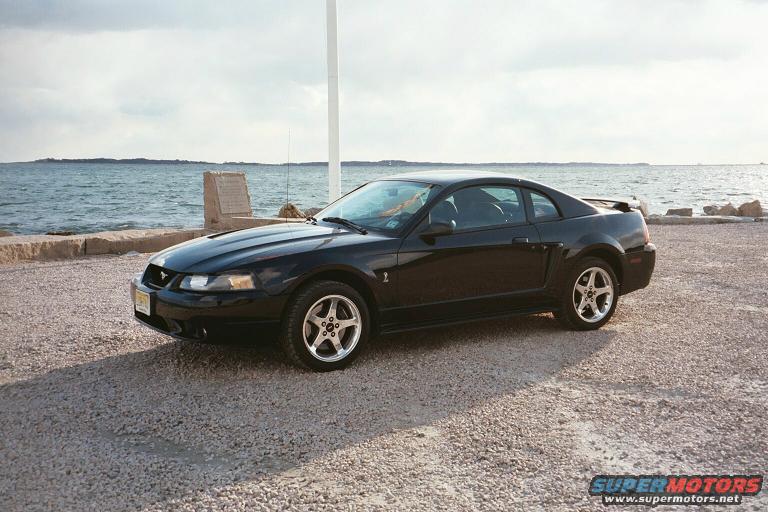 2001 Ford Mustang “PETSNKE”