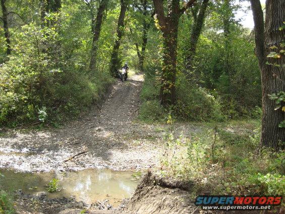 Motorcycle on a dirt path through a wooded area with a muddy puddle in the foreground